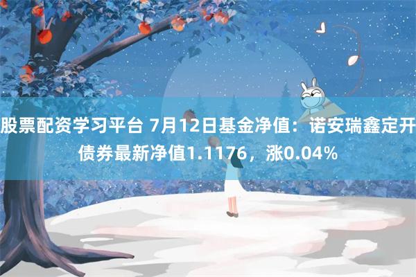 股票配资学习平台 7月12日基金净值：诺安瑞鑫定开债券最新净值1.1176，涨0.04%