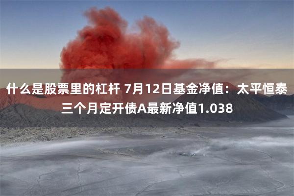 什么是股票里的杠杆 7月12日基金净值：太平恒泰三个月定开债A最新净值1.038