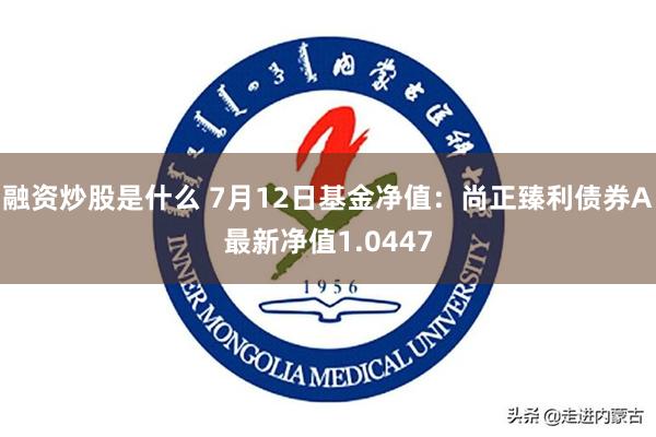 融资炒股是什么 7月12日基金净值：尚正臻利债券A最新净值1.0447