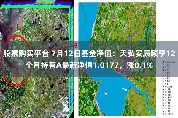 股票购买平台 7月12日基金净值：天弘安康颐享12个月持有A最新净值1.0177，涨0.1%