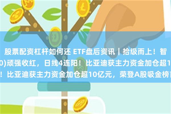 股票配资杠杆如何还 ETF盘后资讯｜拾级而上！智能电动车ETF(516380)顽强收红，日线4连阳！比亚迪获主力资金加仓超10亿元，荣登A股吸金榜首！