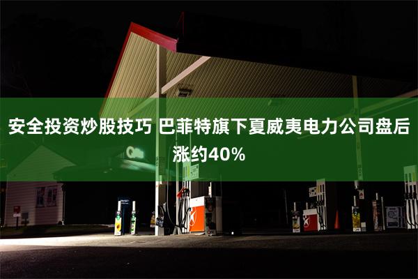 安全投资炒股技巧 巴菲特旗下夏威夷电力公司盘后涨约40%