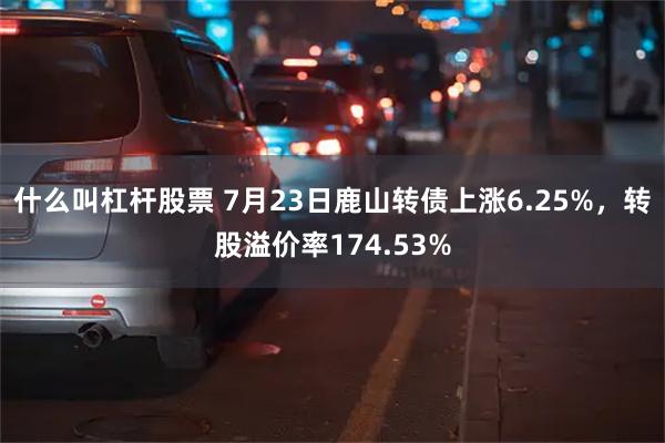 什么叫杠杆股票 7月23日鹿山转债上涨6.25%，转股溢价率174.53%