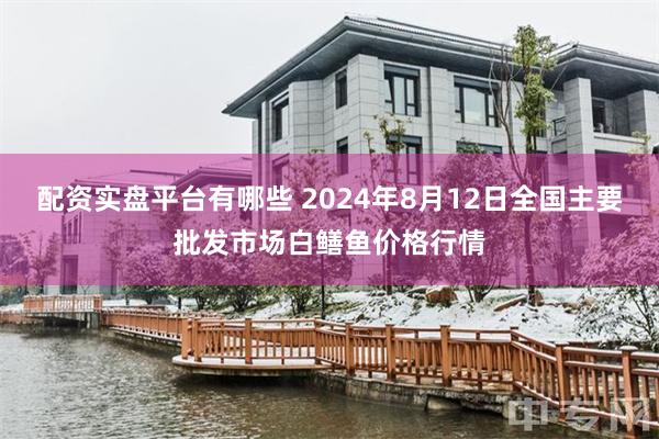 配资实盘平台有哪些 2024年8月12日全国主要批发市场白鳝鱼价格行情