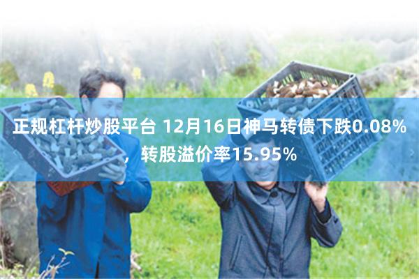 正规杠杆炒股平台 12月16日神马转债下跌0.08%，转股溢价率15.95%