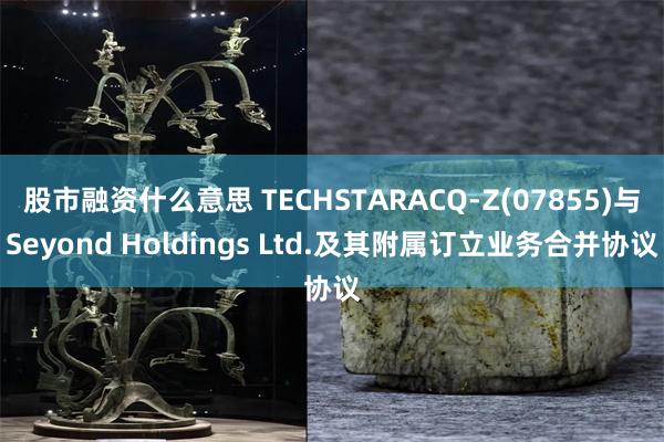 股市融资什么意思 TECHSTARACQ-Z(07855)与Seyond Holdings Ltd.及其附属订立业务合并协议