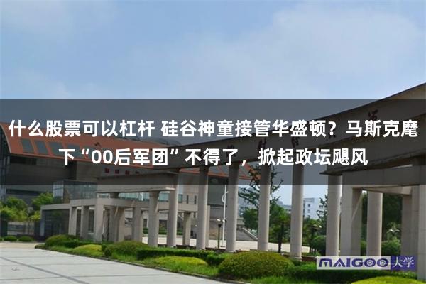 什么股票可以杠杆 硅谷神童接管华盛顿？马斯克麾下“00后军团”不得了，掀起政坛飓风