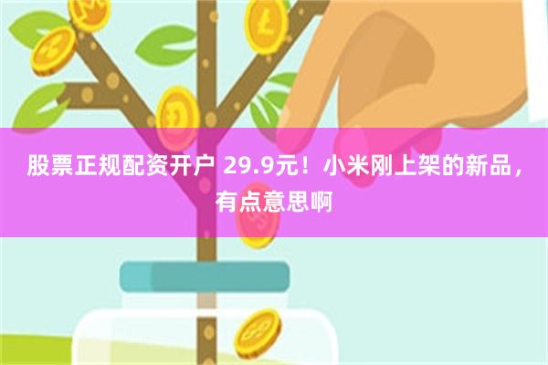 股票正规配资开户 29.9元！小米刚上架的新品，有点意思啊