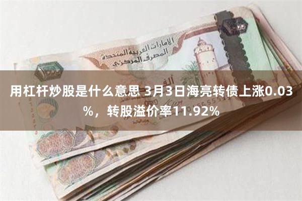 用杠杆炒股是什么意思 3月3日海亮转债上涨0.03%，转股溢价率11.92%