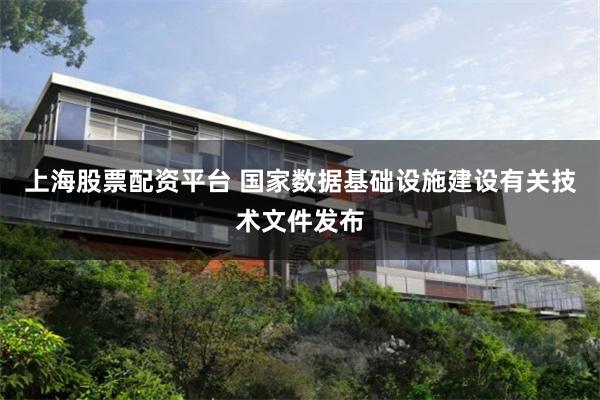 上海股票配资平台 国家数据基础设施建设有关技术文件发布